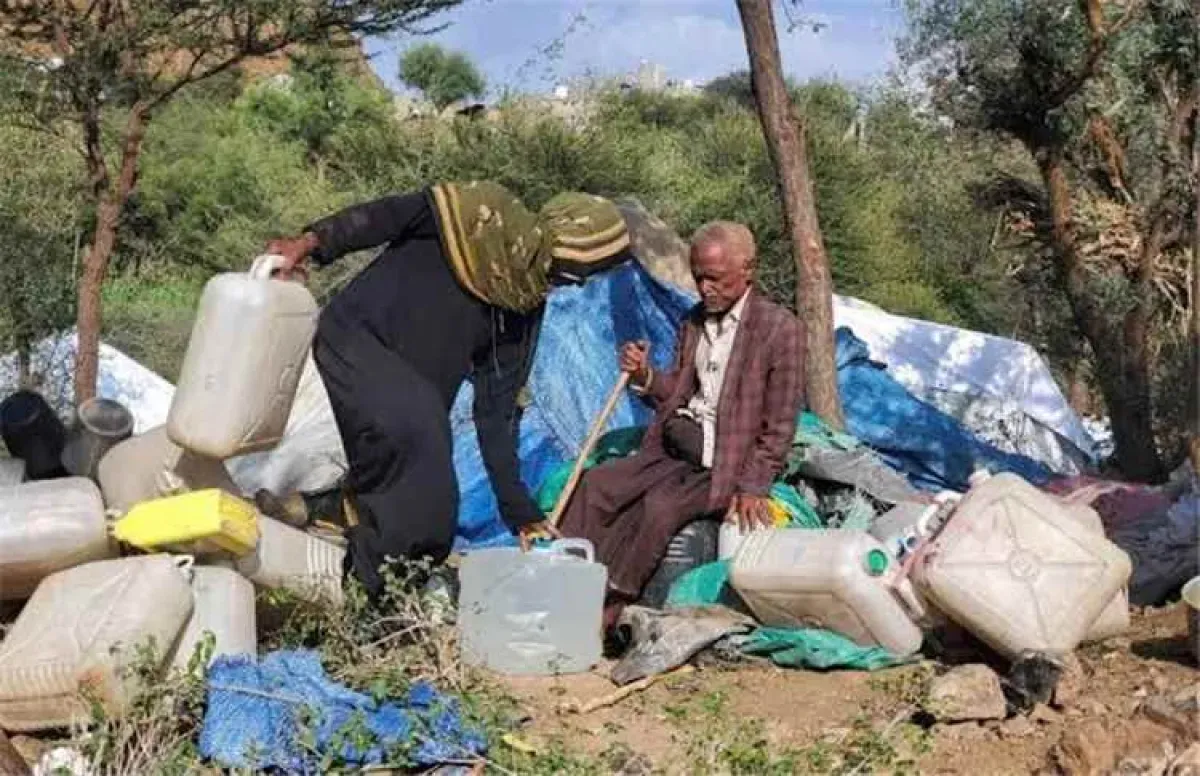 Over 169,000 Displaced in Yemen Amid Escalating Conflict in Taiz and Western Coast